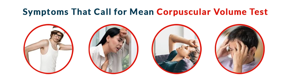 Symptoms That Call for Mean Corpuscular Volume Test